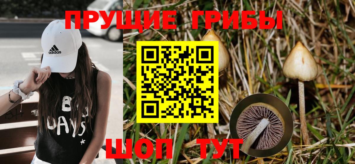 что такое наркотик  Галлюциногенные грибы Psilocybe  Вход с VPN  Протвино 